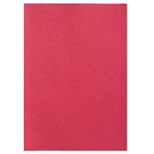 A4 A3彩色纸加厚 120g复印纸 艺术彩纸手工卡纸 文本封面色纸画纸100张 红色 A4 120g卡纸100张